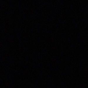 Meet your Posher, Otto